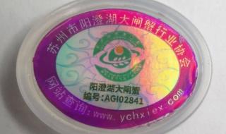 正宗阳澄湖大闸蟹 正宗阳澄湖大闸蟹